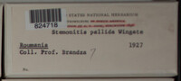 Image Associated With the Occurence